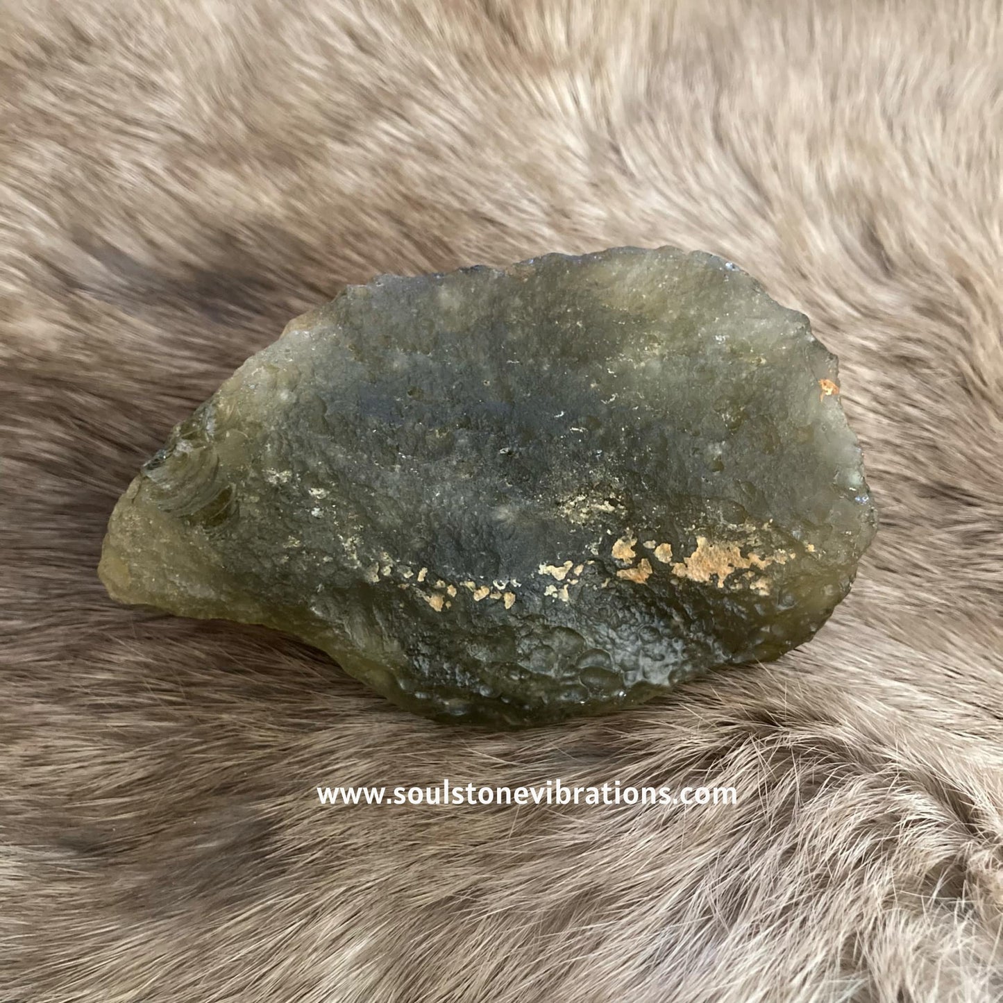 XL Deep Green Libyan Tektite