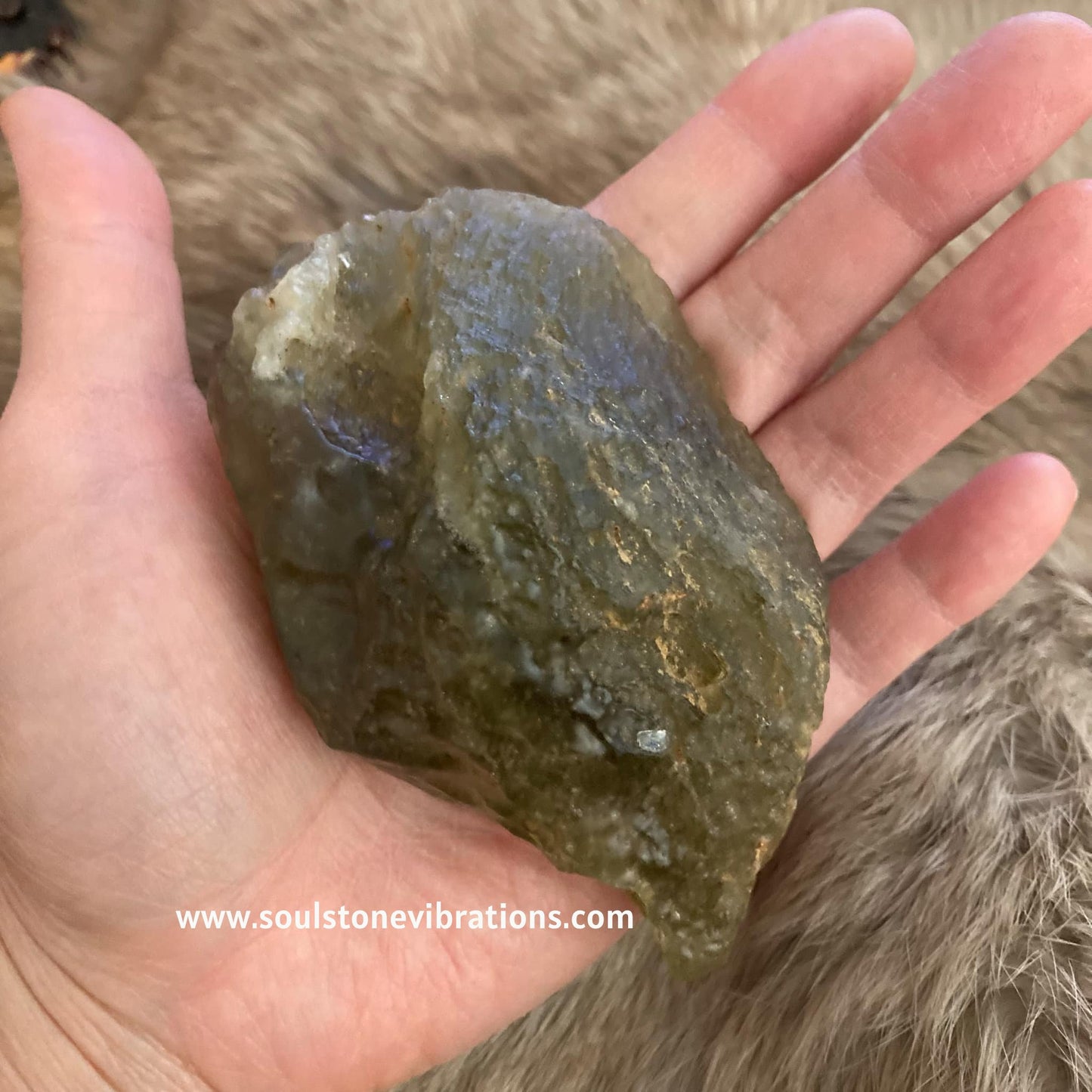 XL Deep Green Libyan Tektite